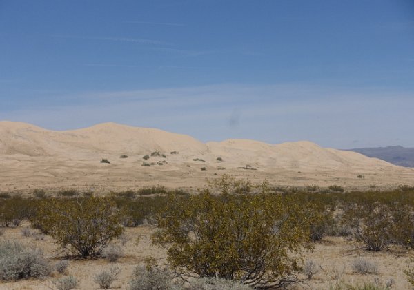 Mojave National Preserve